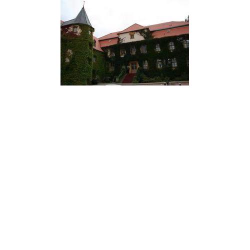 Stadtschloß Hecklingen***