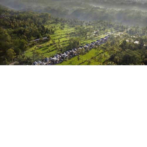 Stanagiri Luxury Retreat Ubud