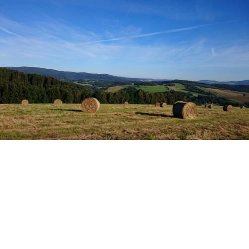 Stanování na farmě