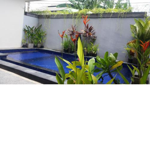 Star Bali Guest House