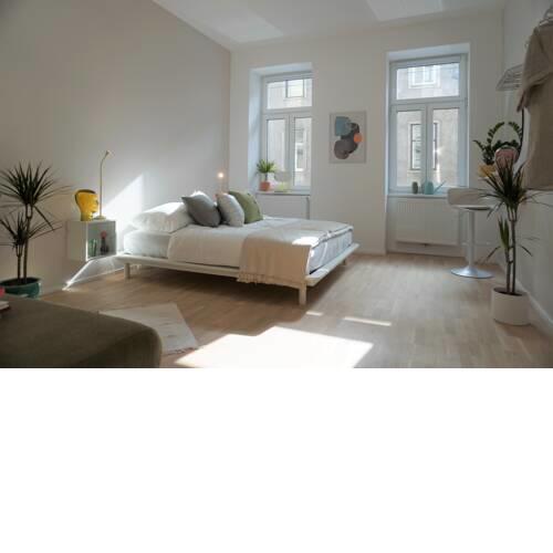 StayOver Apartments @Westbahnhof