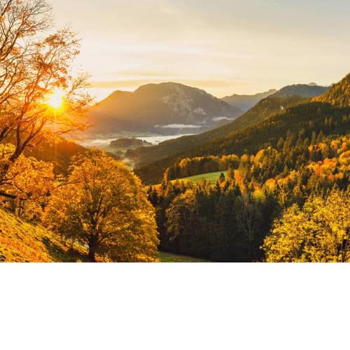 Steinbergalm