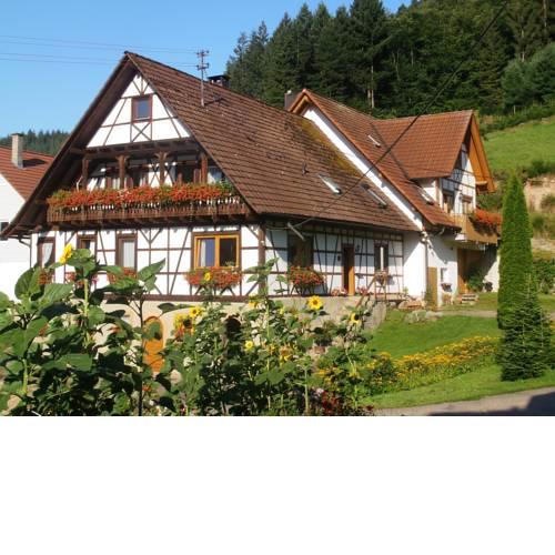Steinhof