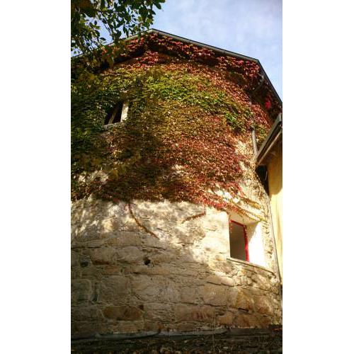 Steiningerturm, histor. Wehrturm von 1460