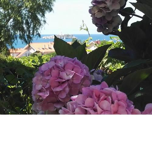 "Stella Maris"
