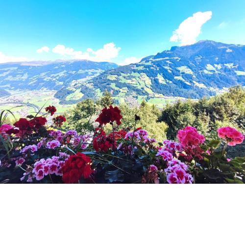 Stellar Holiday Home in Hippach with Balcony