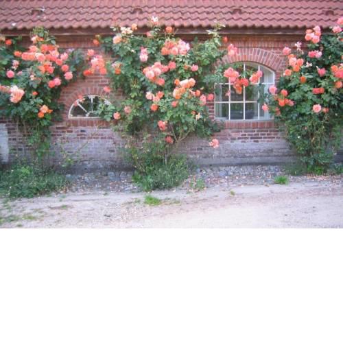 Stellmacherhaus