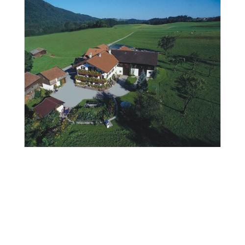 Sterhof