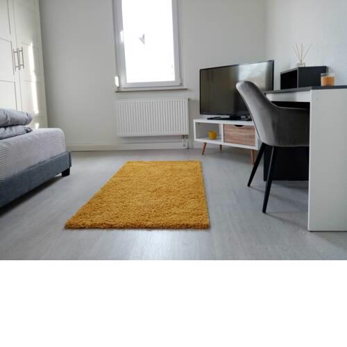 Stilvolles & komfortables Apartmentzimmer 2