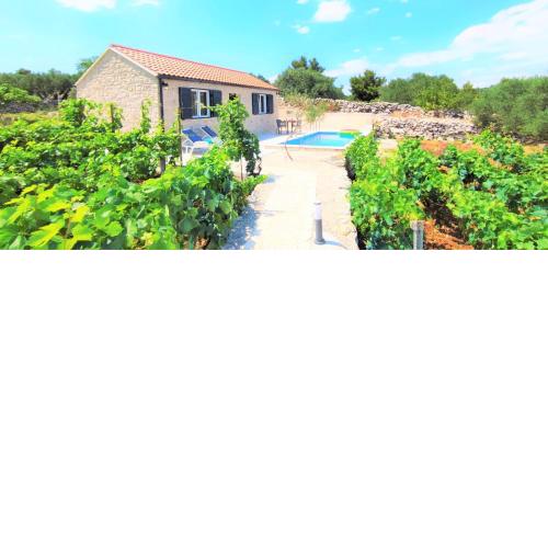 Stone house in vineyard