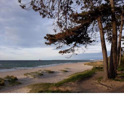 Strandbungalow