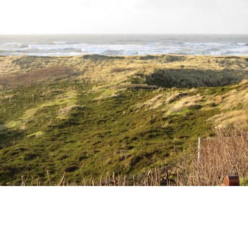 Stranddüne