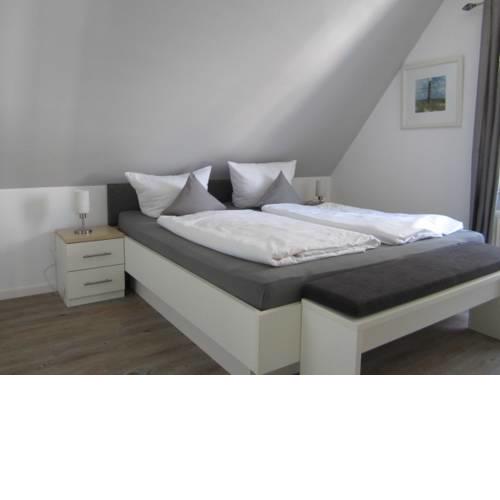 Strandflieder Backbord