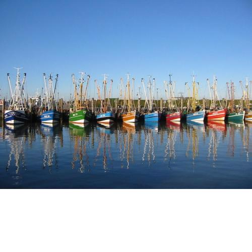 Strandfloh