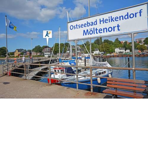 Strandhafer