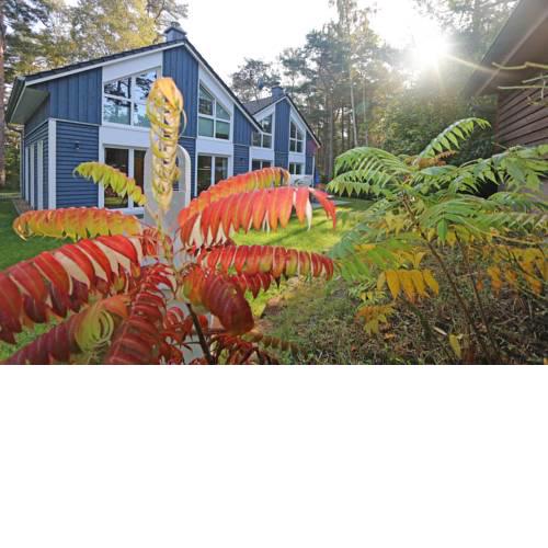 Strandhaus Traumland mit Terrasse