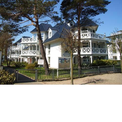 Strandläufer im Haus Strelasund