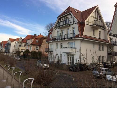 Strandmöwe