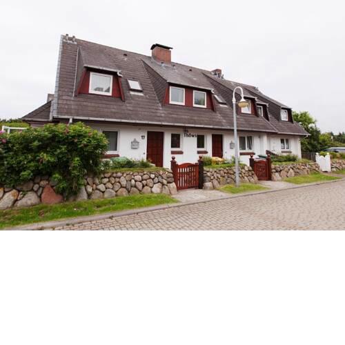 Strandnelke