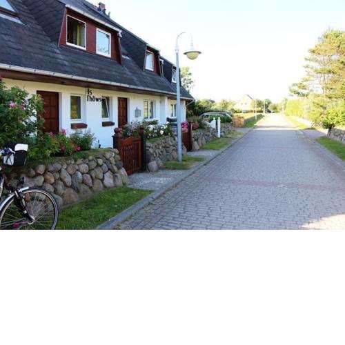 Strandnelke
