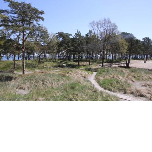 Strandresidenz Appartement Bakassine A14 in Prora