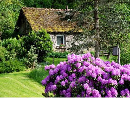 Stubenhof