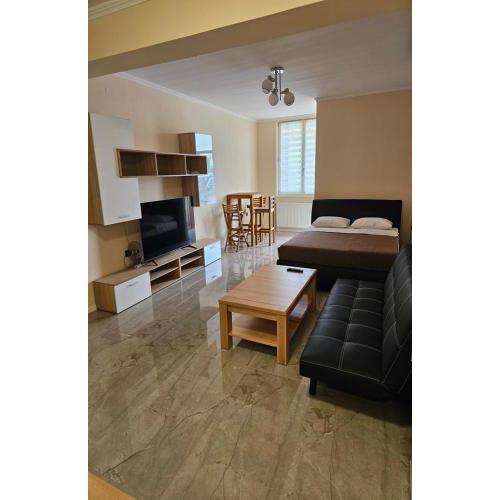 Studio apartman BORLIN