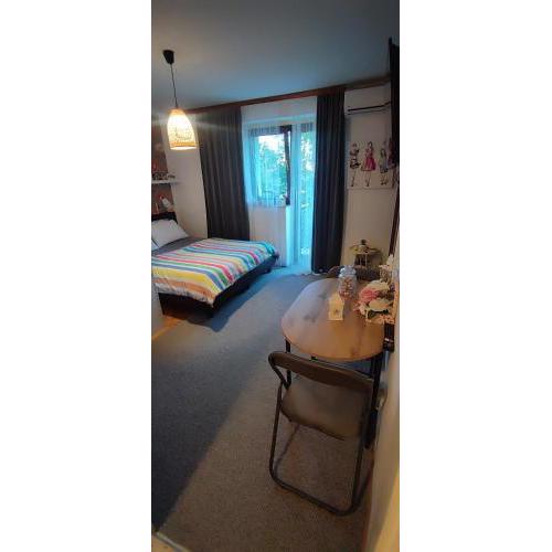 Studio apartman Bruna