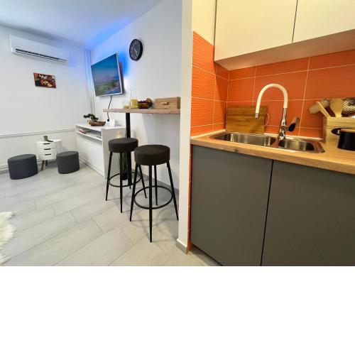 Studio apartman Eki - Trsat
