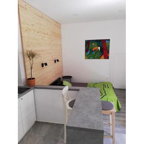 Studio apartman Fleiss