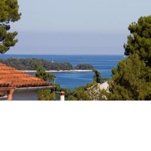 Studio Apartman Nega 1
