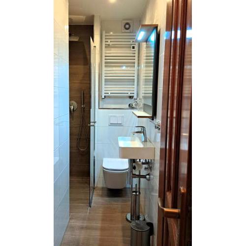 Studio apartman Olivera