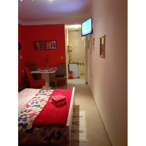 Studio apartman Red Panthers