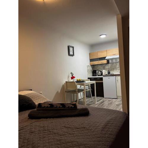 Studio apartman Rijeka