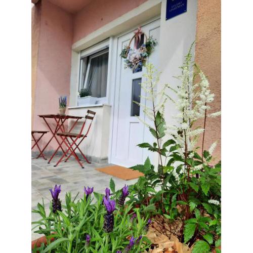 Studio apartmani Venium