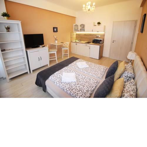 Studio Apartment Benediktska