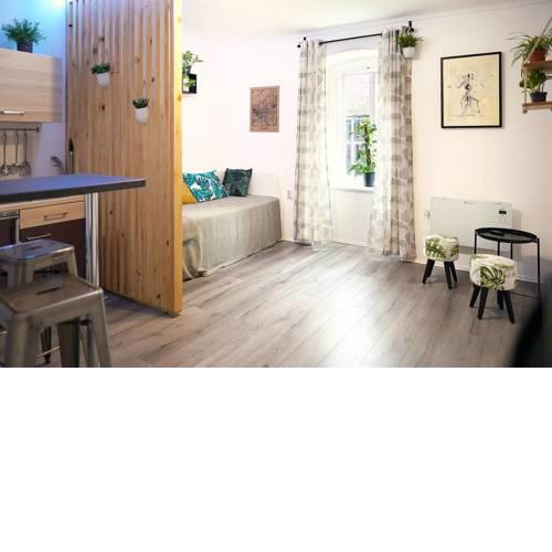 Studio Apartment Draskovich