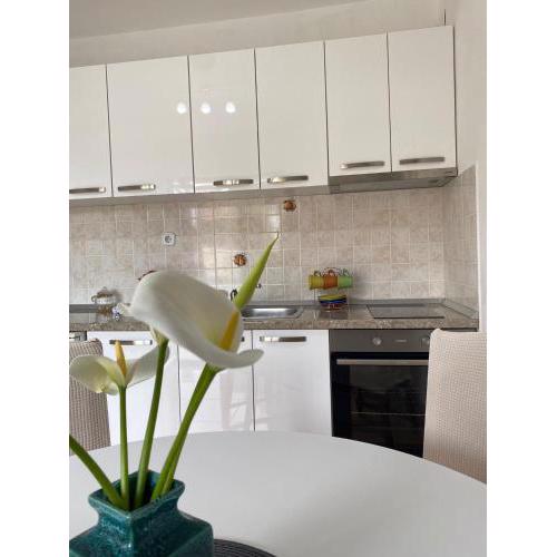 Studio apartment Novak