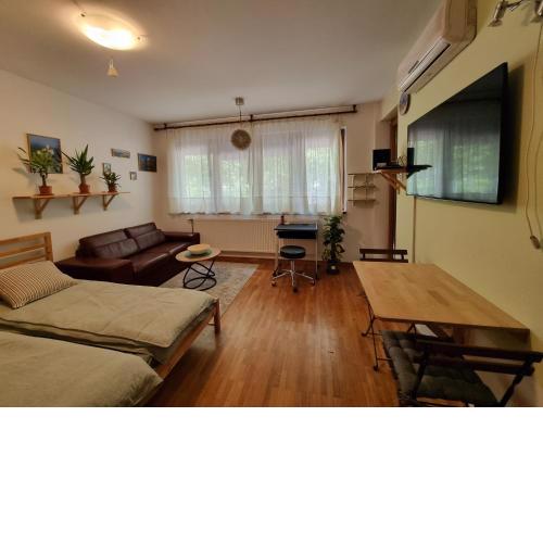 Studio Apartment Oasis