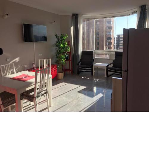 Studio Apartment Palmeras