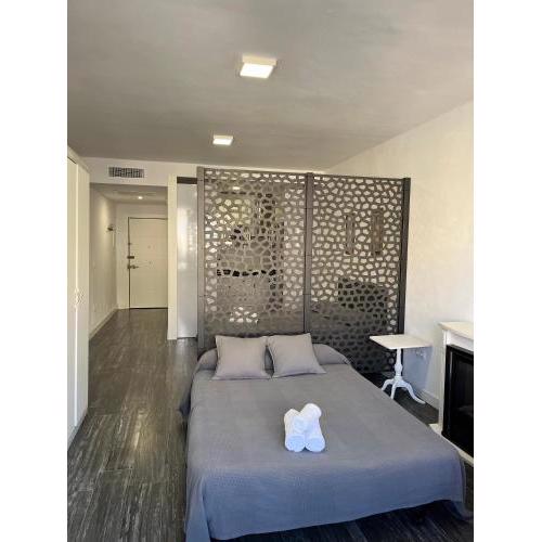 Studio Apartment Palmeras