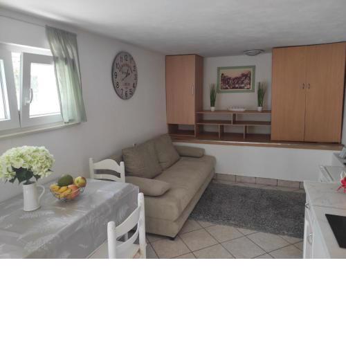 Studio Apartment Petrov