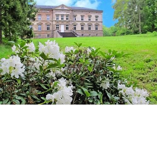 Studio apartment Schloss Tressow Bobitz - DOS05157-CYA