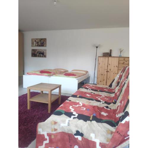 Studio Apartment Souterrain in Freiburg