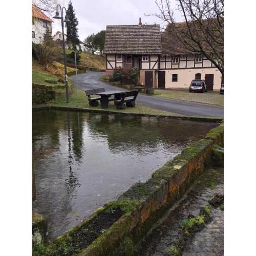 Studio Haus Lindenteichblick