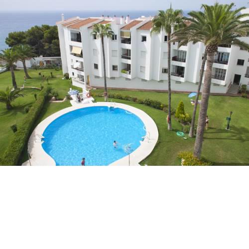 Studio Las Palmeras