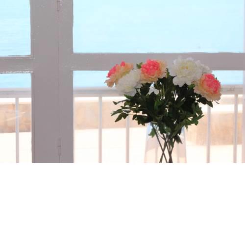 Studio Marina II Nerja