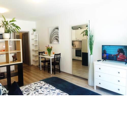 Studio Metropole with terrace