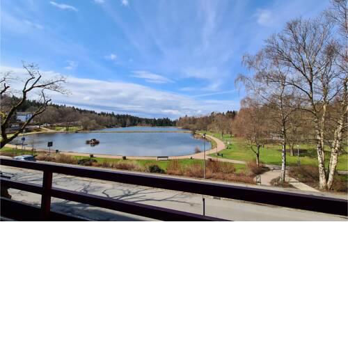 Stunning apartment in Goslar with WiFi