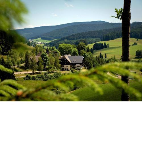 stuub jostal